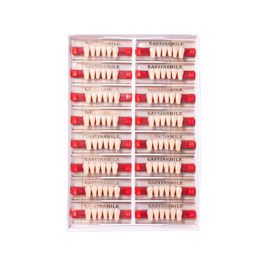 16/12 Set Dental Denture Teeth Model Kit, Upper & Lower Anterior Synthetic Polymer Teeth A2 A3 for Dental Education & Training