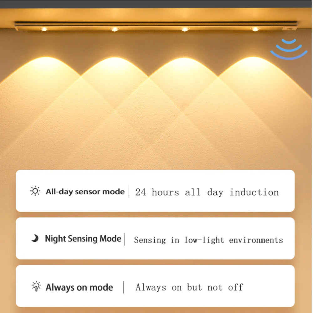 PZSUNLY USB Rechargeable Motion Sensor LED Cabinet Light - Kitchen Wardrobe Lighting in Various Sizes: 20cm/30cm/40cm/60cm/80cm