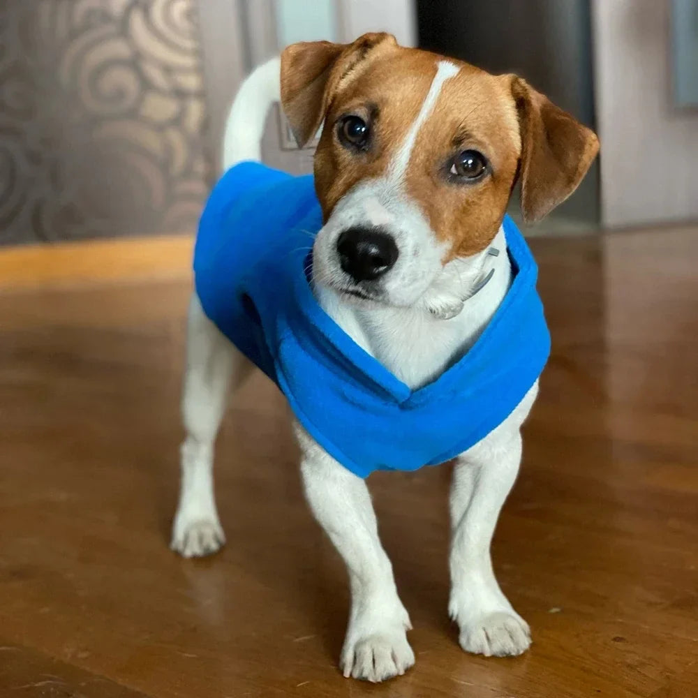Warm Fleece Dog Jacket with D-Ring - Pet Vest for Small Dogs and Cats - French Bulldog and Chihuahua Costumes