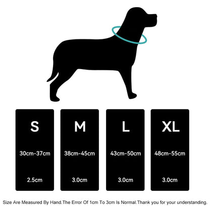 Reflective Padded AirTag Dog Collar – Integrated AirTag Holder for Small, Medium & Large Dogs