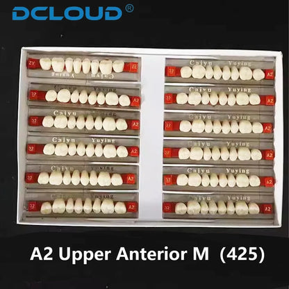 96PCS Dental Resin Denture Teeth Set – Upper & Lower Full Acrylic False Teeth Model (A2/A3 Shades, Anterior & Posterior)
