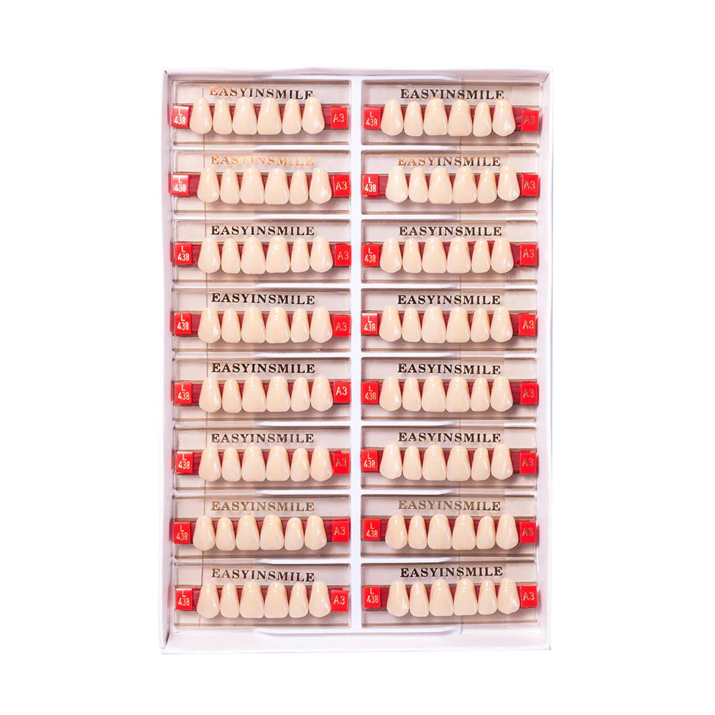 16/12 Set Dental Denture Teeth Model Kit, Upper & Lower Anterior Synthetic Polymer Teeth A2 A3 for Dental Education & Training