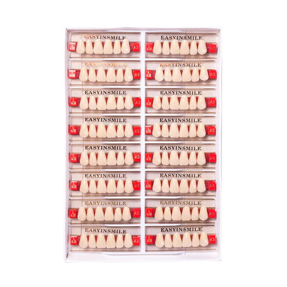 16/12 Set Dental Denture Teeth Model Kit, Upper & Lower Anterior Synthetic Polymer Teeth A2 A3 for Dental Education & Training