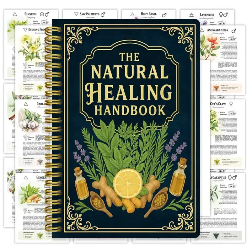 Cute Spiral Recipe Notebook – “My Favorite Recipe” Journal, Fun Kitchen Cookbook Organizer & Writing Notebook