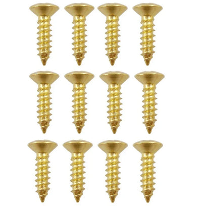 Electric Guitar Bass Pickguard Screws - 3x12mm Protective Plate Rear Cover Screws with Storage Box
