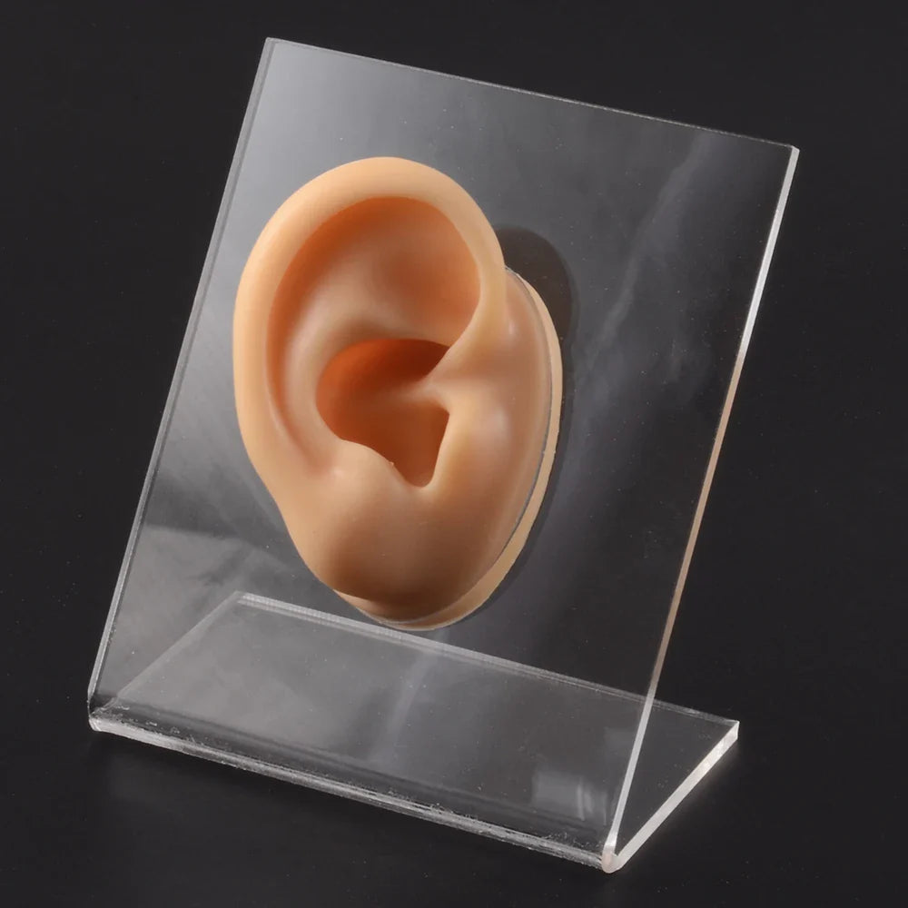 Soft Silicone Ear Model Display Stand – Tattoo Practice & Body Piercing Jewelry Holder with Acrylic Earring Display Kit for Training & Showcase