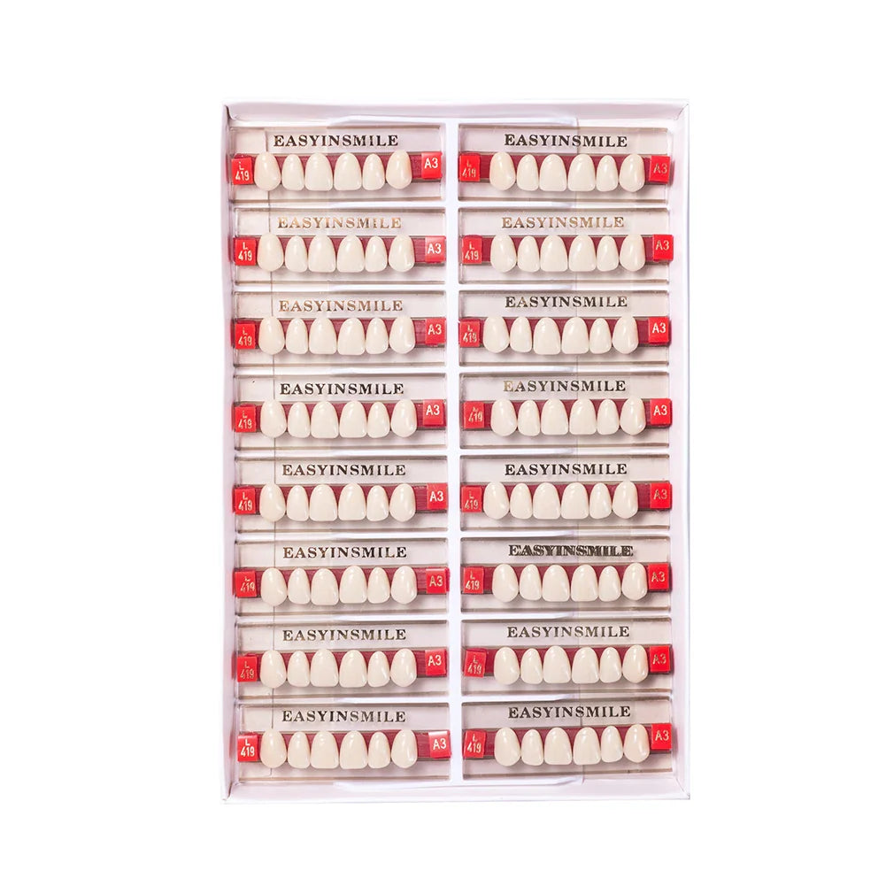 16/12 Set Dental Denture Teeth Model Kit, Upper & Lower Anterior Synthetic Polymer Teeth A2 A3 for Dental Education & Training