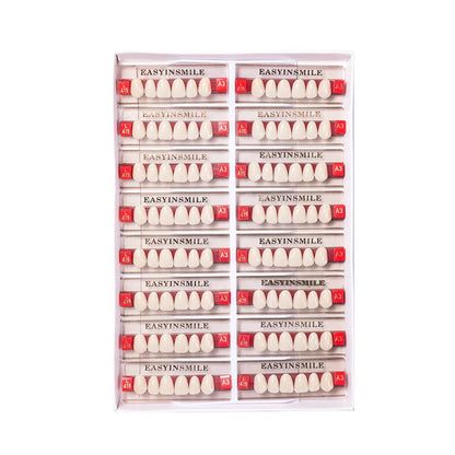 16/12 Set Dental Denture Teeth Model Kit, Upper & Lower Anterior Synthetic Polymer Teeth A2 A3 for Dental Education & Training