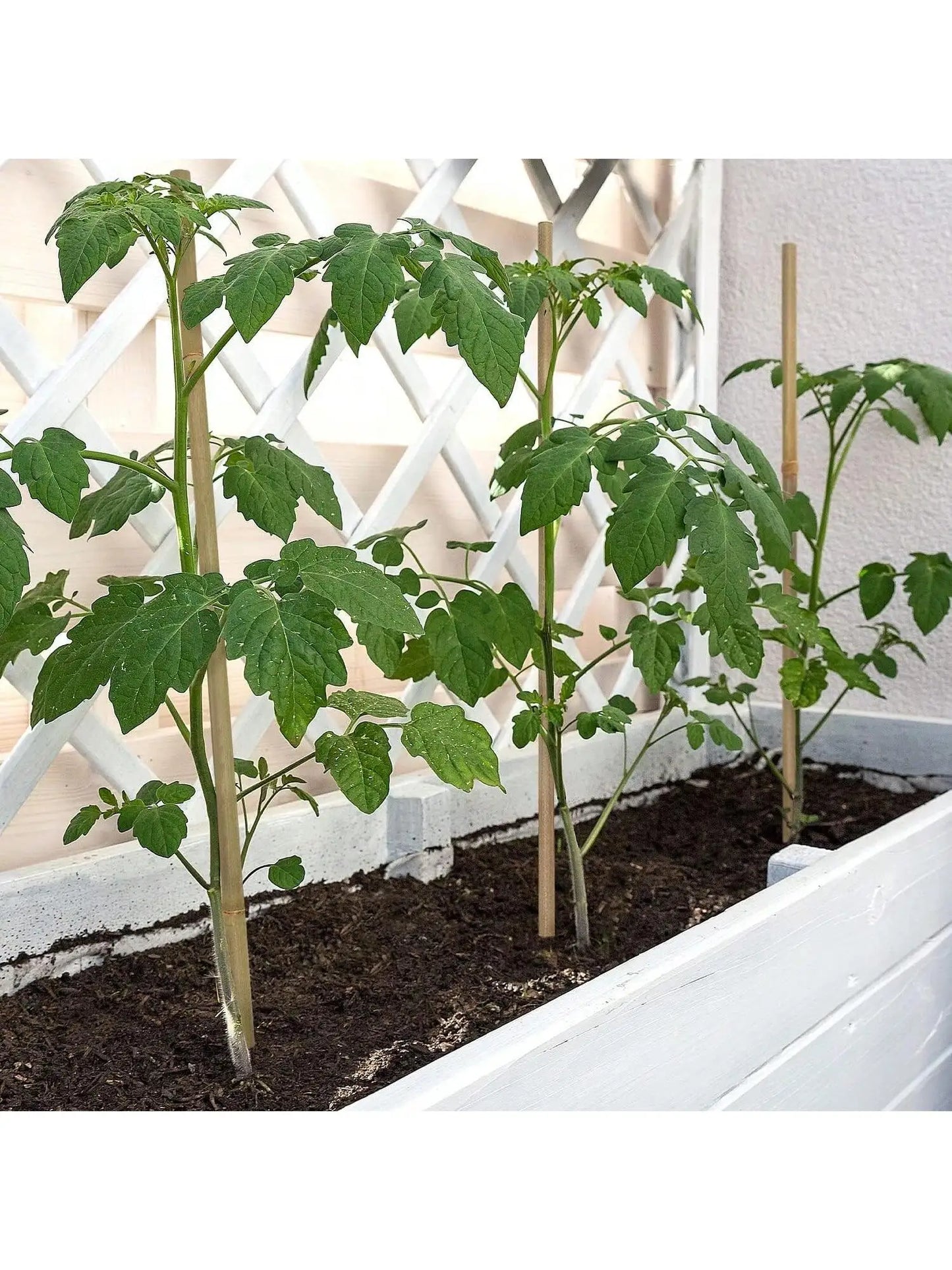20pcs Eco-Friendly Bamboo Garden Stakes – Wooden Plant Supports for Climbing Plants and Gardening