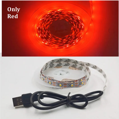 5M USB LED Strip Light - 5V SMD 3528 Waterproof Ribbon Light for Cabinets, Ceilings & Home Decor