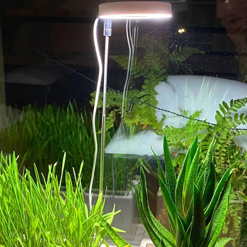 Premium Indoor Solar LED Growth Light: Full Spectrum with Four Gear Dimming - Ideal for Fleshy Plants, Flowers, and Telescopic Fill Light for Floors