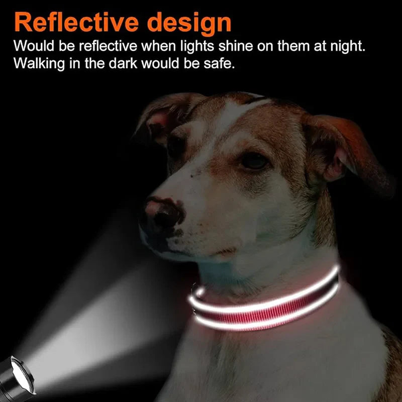 Reflective Dog Collar – Soft Neoprene Padded Nylon, Adjustable & Sturdy for Medium and Large Dogs