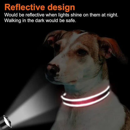 Reflective Adjustable Dog Collar for Medium & Large Dogs – Soft Neoprene Padded Durable Nylon Safety Pet Collar