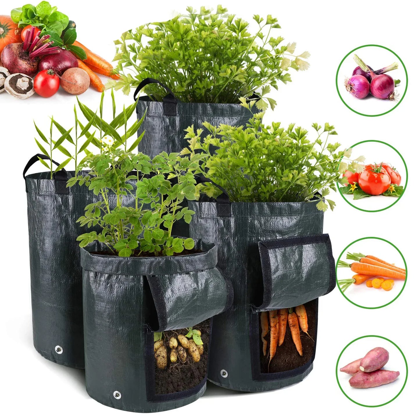 Potato Grow Bags – 3/5/10 Gallon Gardening Planter Bags for Potatoes, Tomatoes, Carrots & Vegetables