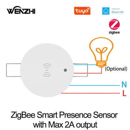Zigbee & WiFi 24G Motion Sensor Switch – Smart Light Presence Detector with Brightness & Distance Radar, Tuya Smart Life Compatible