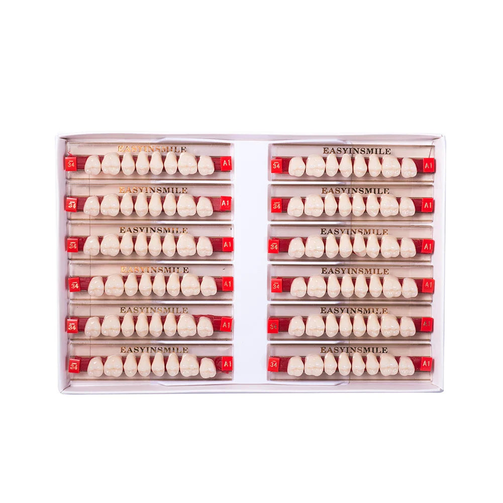 16/12 Set Dental Denture Teeth Model Kit, Upper & Lower Anterior Synthetic Polymer Teeth A2 A3 for Dental Education & Training