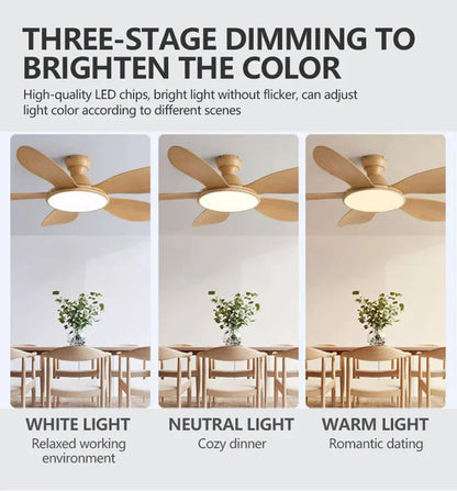 52-inch Modern LED Ceiling Fan — 60W Low Floor DC Motor, 35W Light, Remote Control, 110-220V