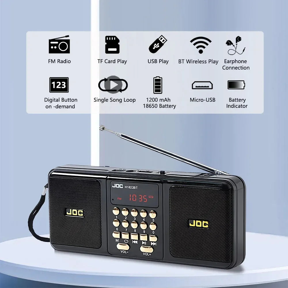 Portable Bluetooth FM Radio Speaker — Wireless Stereo with USB, TF Card & Rechargeable Battery