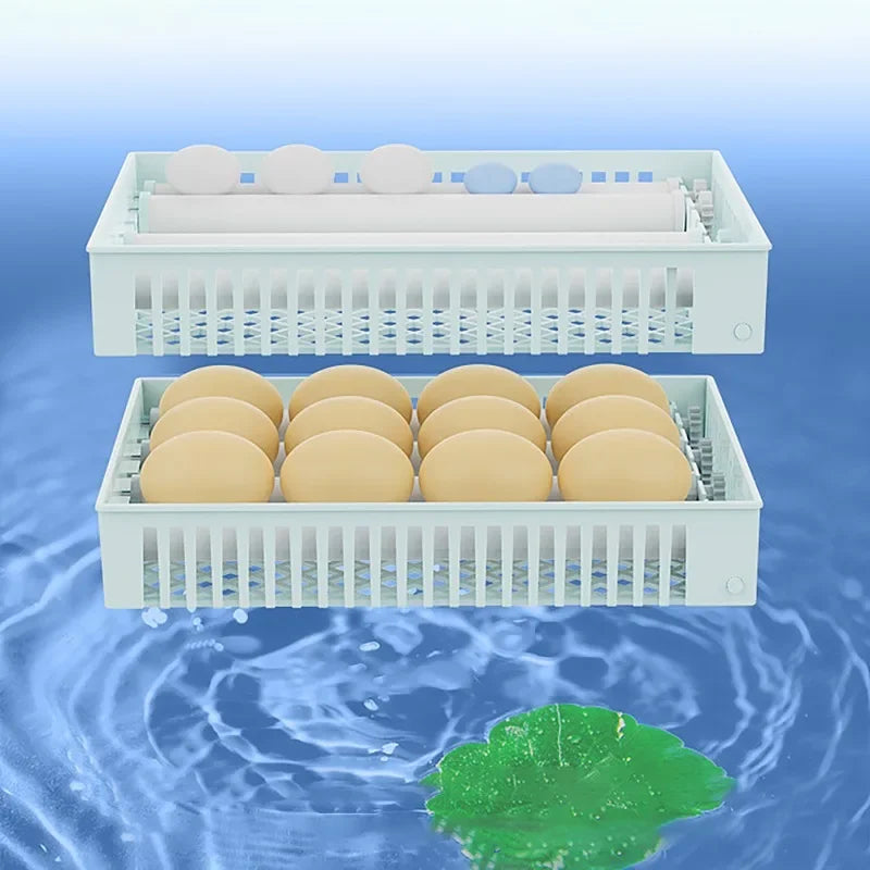 24-Egg Automatic Incubator — Touch Control Hatchery Machine for Chicken, Duck, Quail & Bird Eggs
