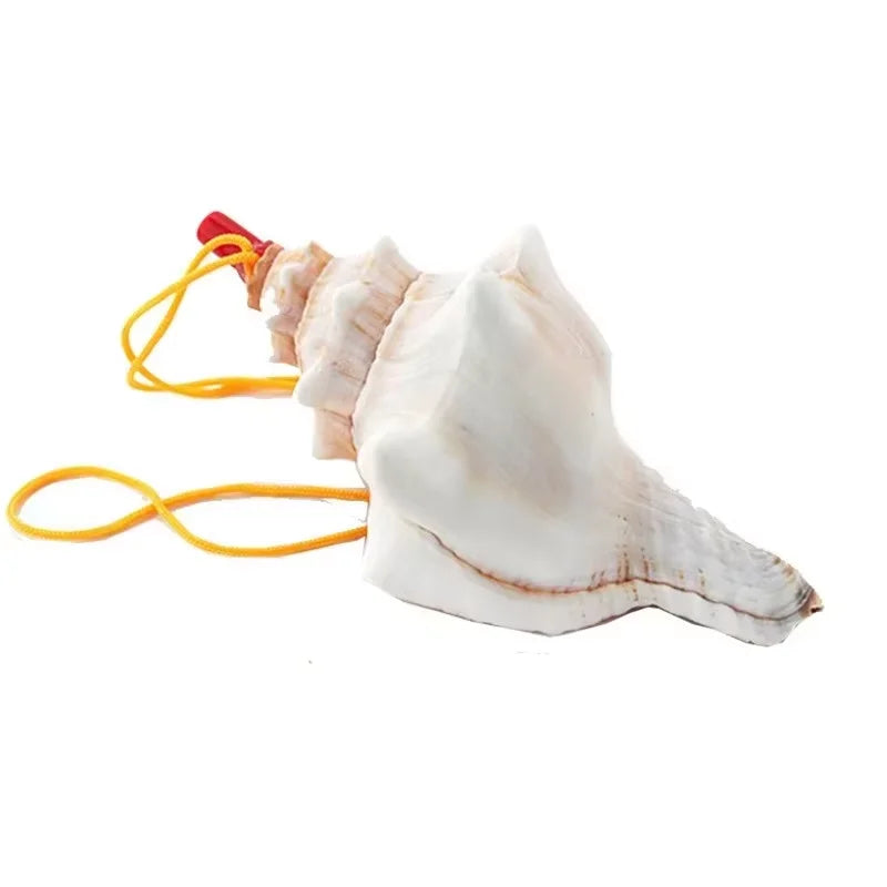 Moana Princess Costume Dress - Girls Carnival, Cosplay & Role Play Outfit