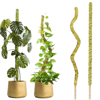 1PC Handmade Bendable Moss Pole for Monstera and Indoor Plants - Real Moss Plant Stakes for Climbing Support