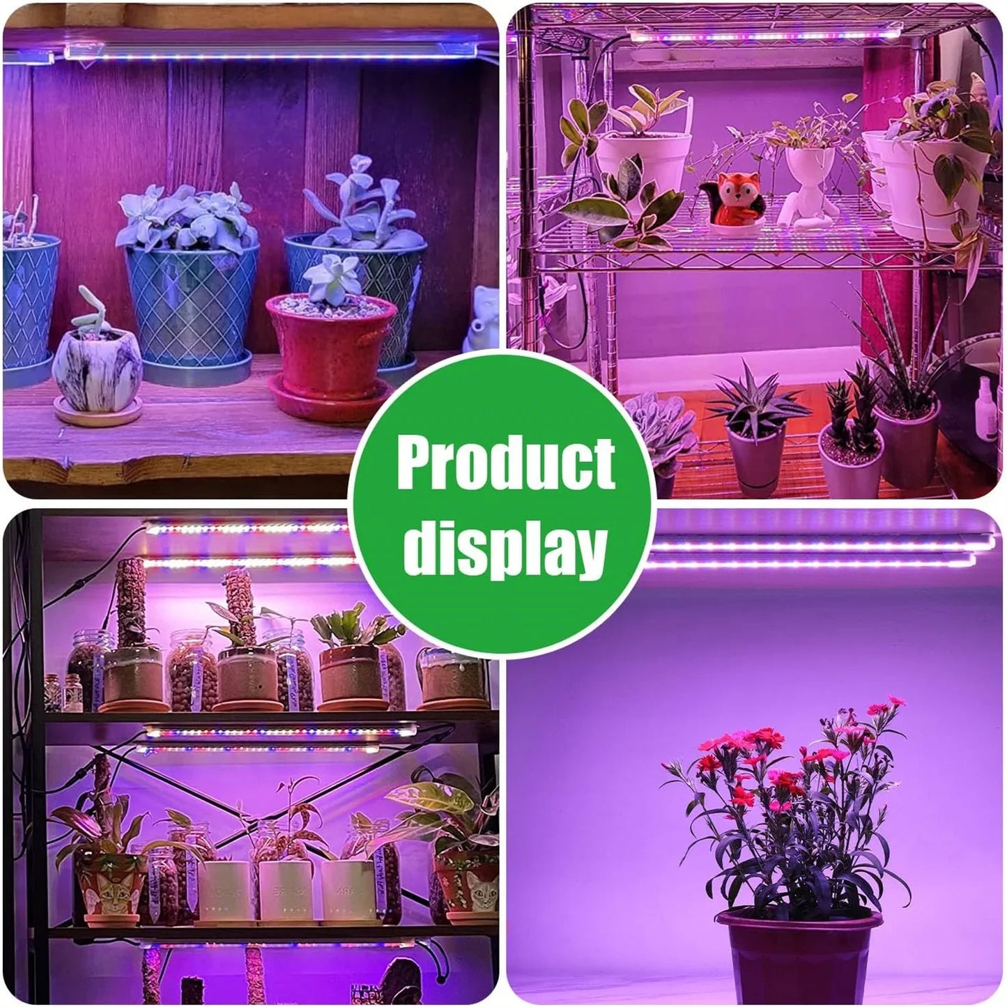 3-Color Indoor LED Grow Light — USB DC5V Full-Spectrum Phyto Lamp with Timer, Dimmable for Hydroponics & Plants