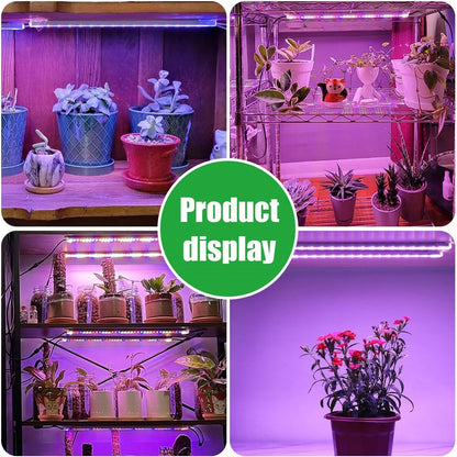 3-Color Indoor LED Grow Light — USB DC5V Full-Spectrum Phyto Lamp with Timer, Dimmable for Hydroponics & Plants