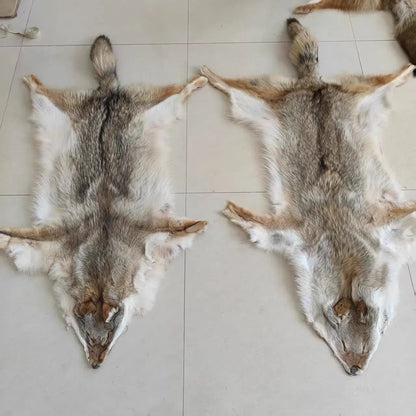 Coyote Fur Blanket - Large Full-Size Plush Throw for Car Seats, Sofas & Decor