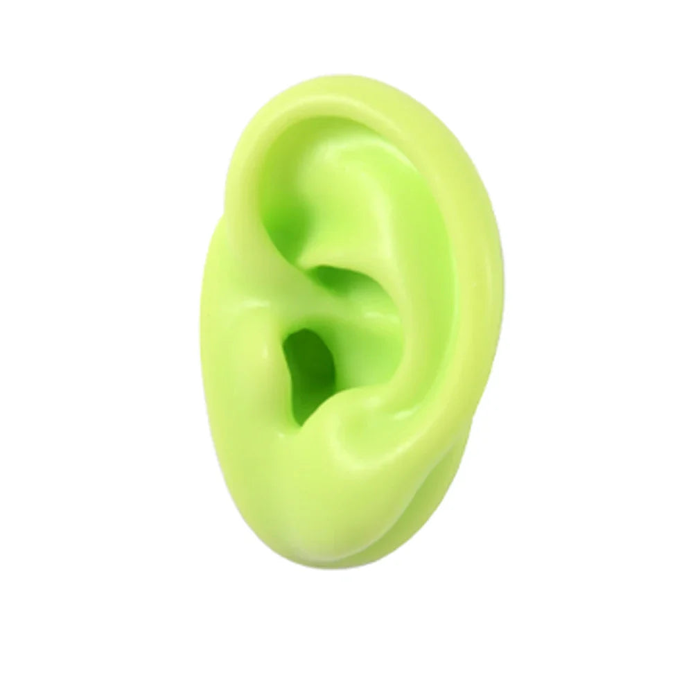 Soft Silicone Ear Model Display Stand – Tattoo Practice & Body Piercing Jewelry Holder with Acrylic Earring Display Kit for Training & Showcase