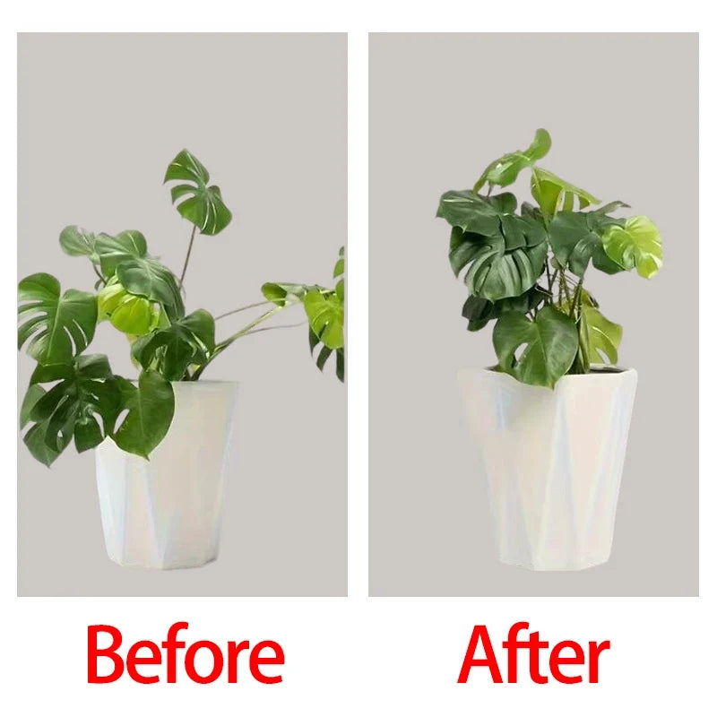 Reusable Plant Support Clips - Plastic Garden Stem Fixing Clips for Houseplant Branch Organizer