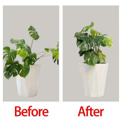 Reusable Plant Support Clips - Plastic Garden Stem Fixing Clips for Houseplant Branch Organizer