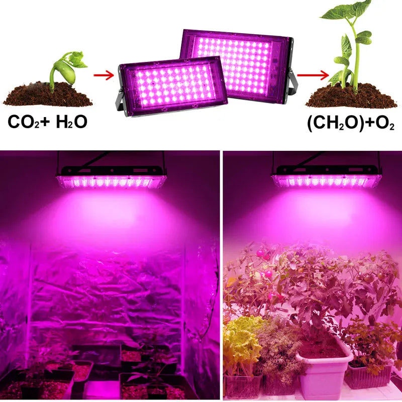 Full Spectrum LED Grow Light: 50W-300W Phytolamp for Indoor Plant Cultivation - Black Lights for Optimal Flower Growth, EU Plug