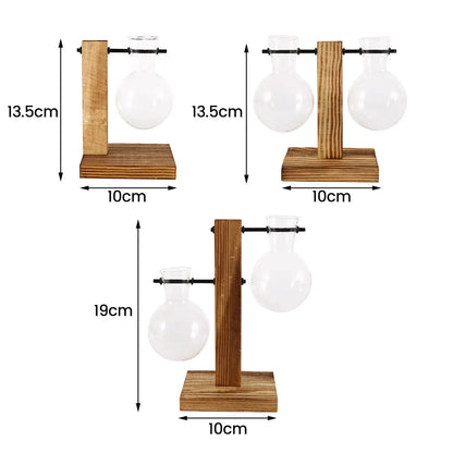 Glass Bulb Planter Vase - Wooden Stand Hydroponic Desktop Decor