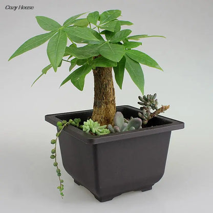 1PC Square Imitation Plastic Flower Pot - Balcony Bonsai Bowl, Nursery Basin Planter, Rectangle Design for Home Gardening