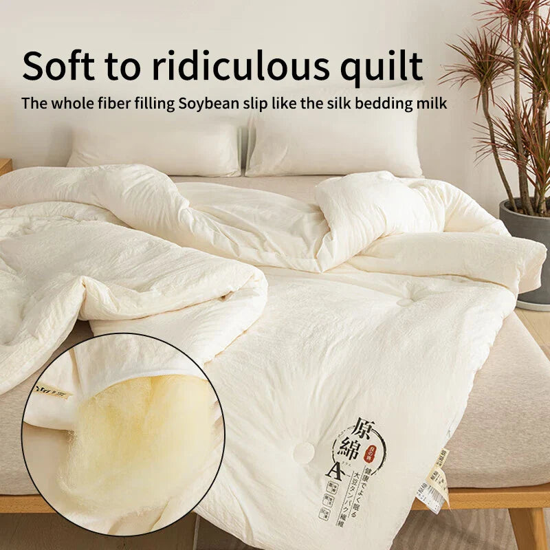 Raw Cotton Soybean Quilt – Thickened Spring, Autumn & Winter Bedding for Extra Warmth