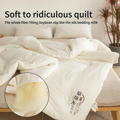 Raw Cotton Soybean Quilt – Thickened Spring, Autumn & Winter Bedding for Extra Warmth