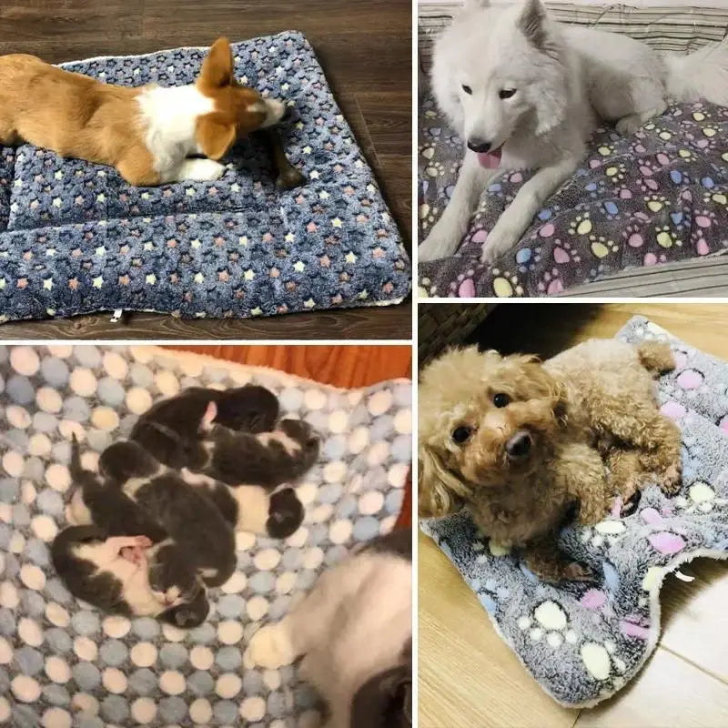 Warm Fleece Pet Sleeping Mat - Soft Thickened Bear Pattern Dog & Cat Bed Blanket Washable Pad
