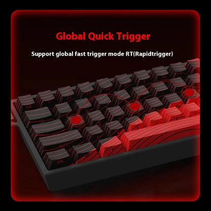 MADLIONS MAD 60/68HE Magnetic Switch Wired Gaming Keyboard – Hot Swap, Rapid Trigger, Customizable PC Gamer Accessory
