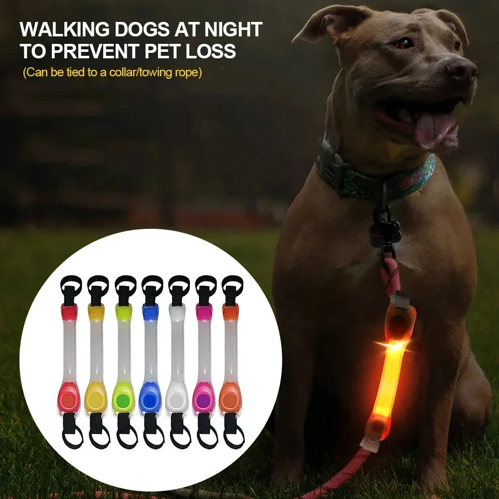 Pet LED Safety Traction Collar – Waterproof Anti-Loss Collar with Multi-Color Flashing Light Pendant for Outdoor Use