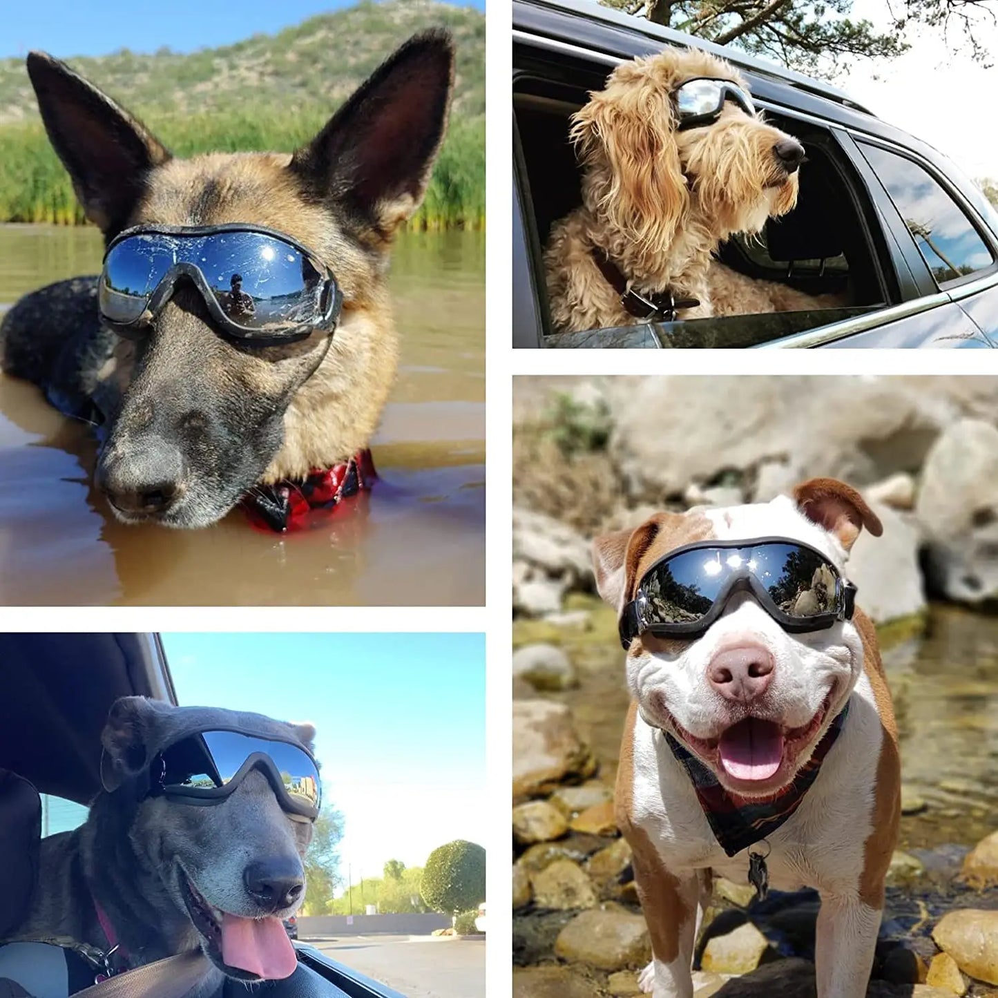 Adjustable Dog Sunglasses: Anti-Fog Goggles for Travel Skiing, Snow, and Outdoor Adventures - Pet Goggles for Medium to Large Dogs