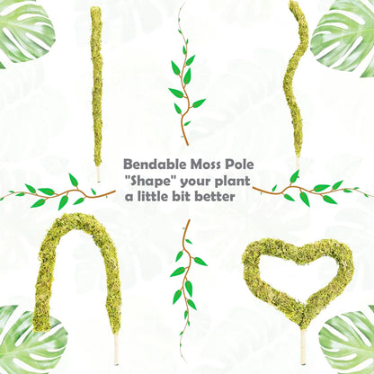 1PC Handmade Bendable Moss Pole for Monstera and Indoor Plants - Real Moss Plant Stakes for Climbing Support