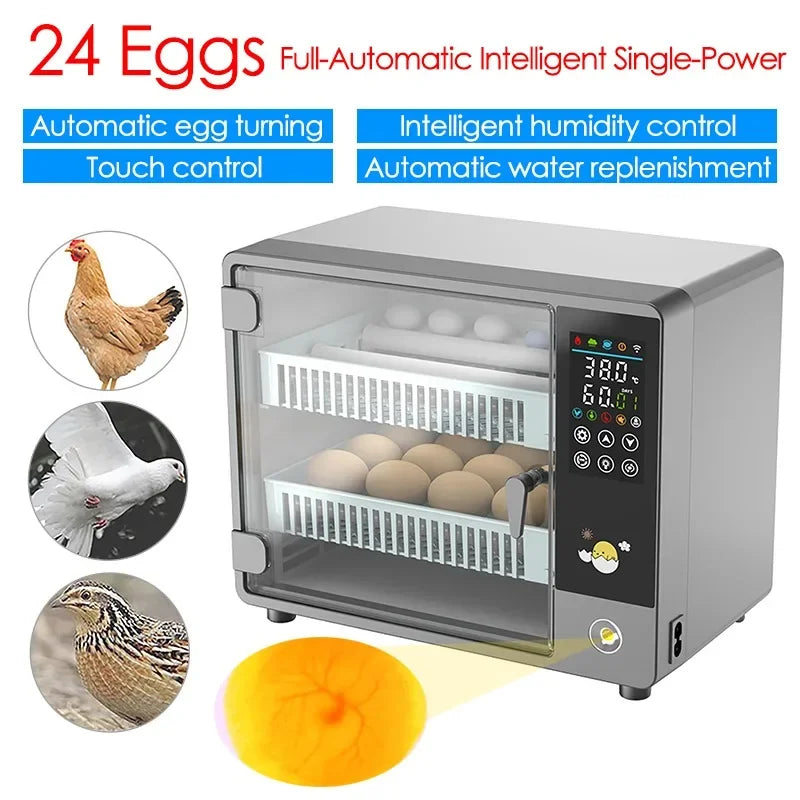 24-Egg Automatic Incubator — Touch Control Hatchery Machine for Chicken, Duck, Quail & Bird Eggs
