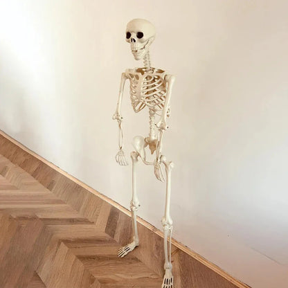Halloween Life Size Human Skeleton Decoration — Realistic Body Bones with Posable Joints for Haunted House Horror Props
