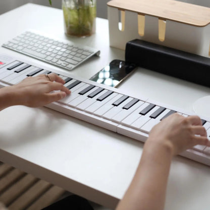 61 Key Foldable Electronic Piano Keyboard, Multifunctional with LED Display & Built-in Battery, Digital Piano