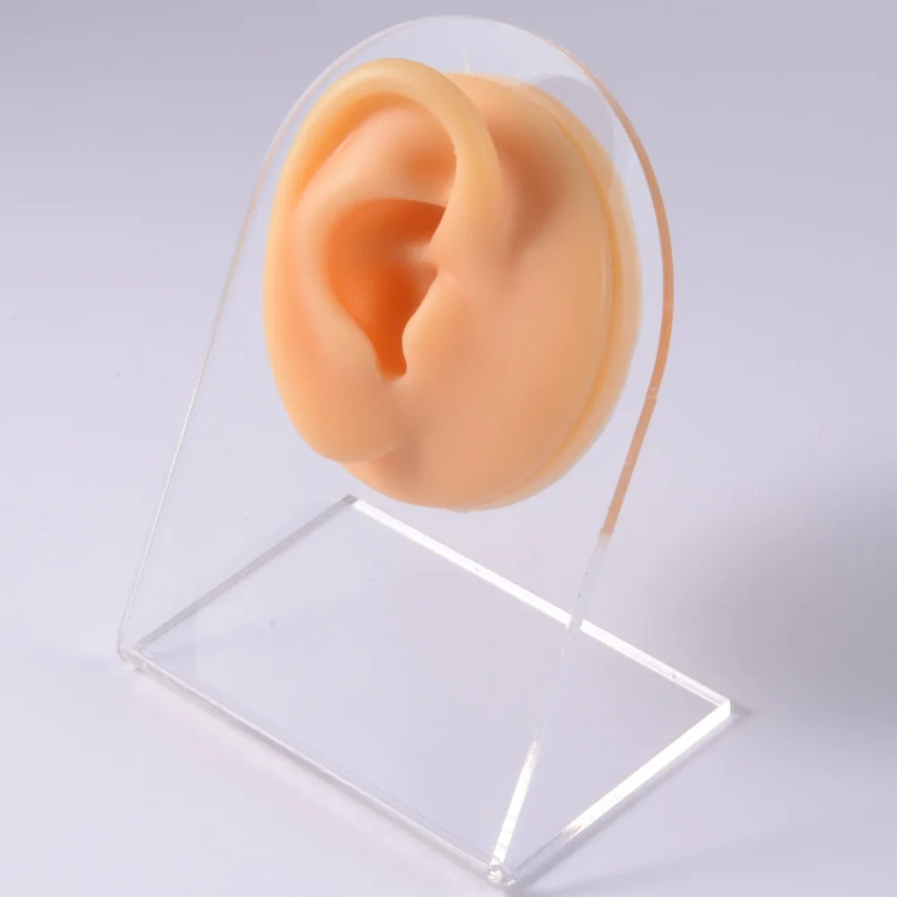 Soft Silicone 1:1 Simulation Body Piercing Practice Model – Ear, Nose, Navel & Nipple Display Stand for Jewelry Training & Teaching Accessories