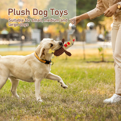 BenBen Dog Toys - Pack of 5 Plush Squeaky Toys for Small, Medium & Large Dogs, Stuffed Puppy Chew Toys, Cute Pet Gift Bundle