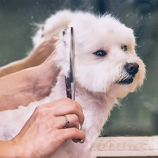 Dog Grooming Scissors Kit - Professional Pet Cleaning & Grooming Set with Safety Round Tip Stainless Steel Shears for Dogs & Cats