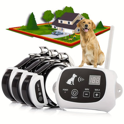 50242884174131