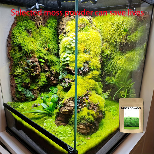Living Moss Carpet with Moss Spore Powder - Immortal Micro Landscape Rockery Plants for Home and Garden