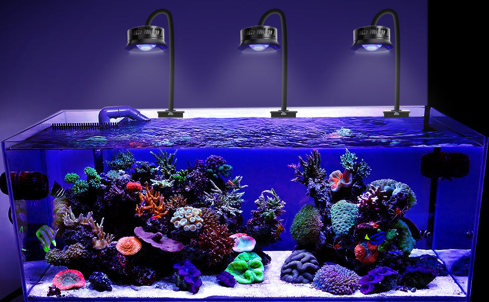 30W Aquarium LED Reef Light – Dimmable Full Spectrum for Marine Fish Tanks, Saltwater Nano LPS SPS Lighting